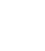cleaning icon