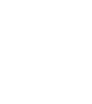 cleaning icon