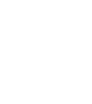 cleaning icon